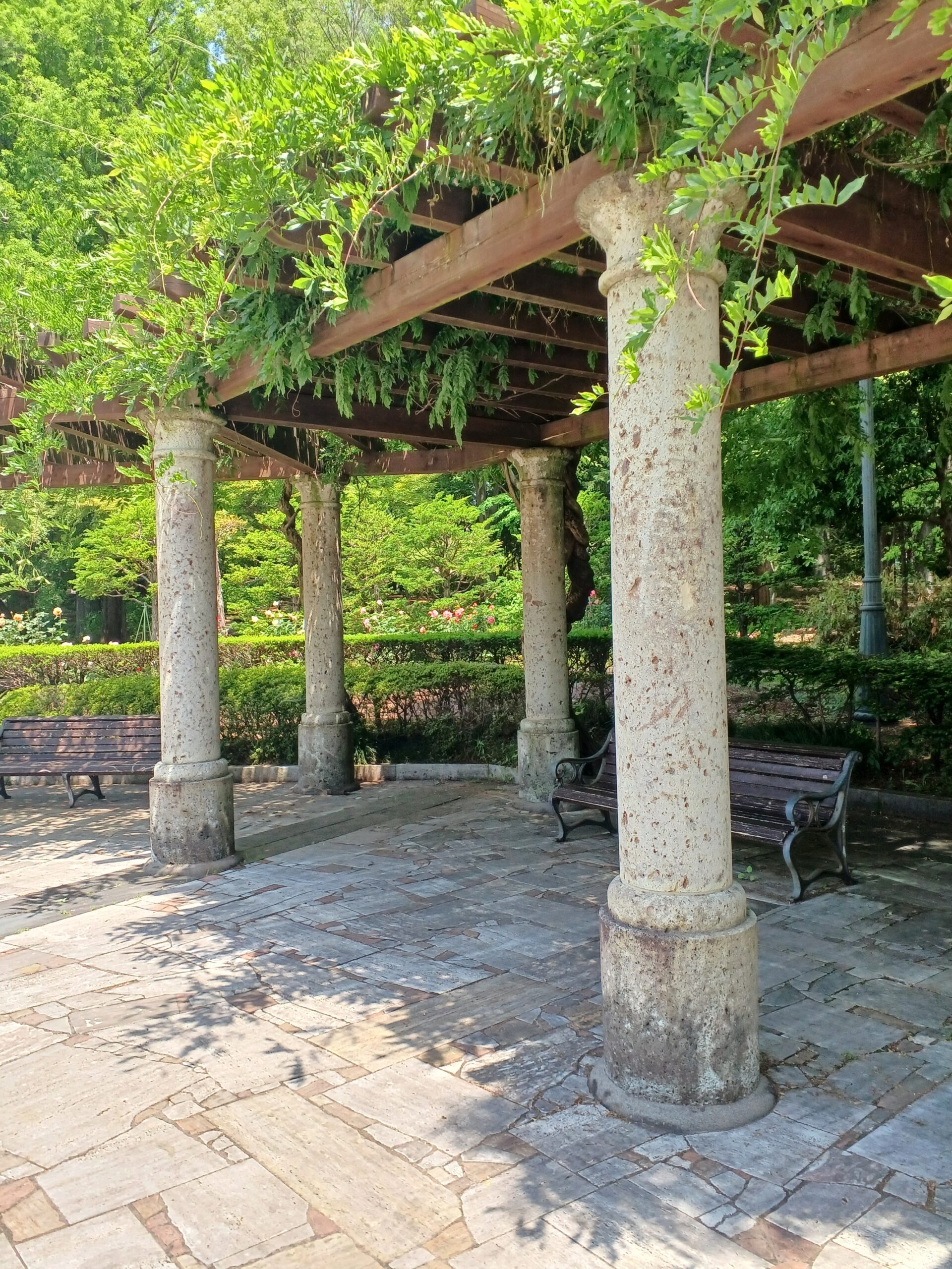 日本庭園周りでは40年前施工の高さ3〜5mの1本ものの大谷石の円柱がたくさん並んでいます。